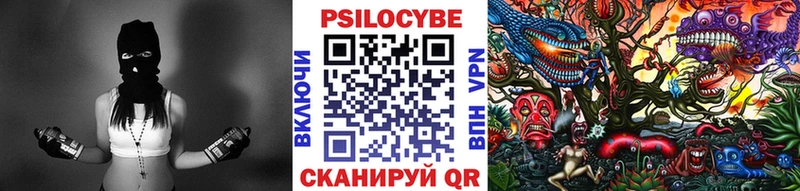дарнет шоп  Лесной  Псилоцибиновые грибы Psilocybe 